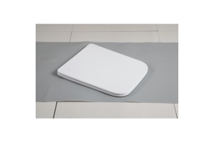 Сиденье для унитаза белый WeltWasser WW 010 GL-WT (10000003670)