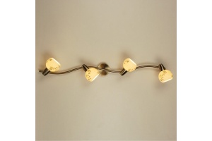 Спот Citilux Соната CL520543