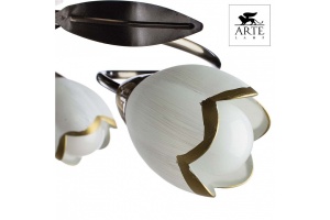 Потолочная люстра Arte Lamp 4 A6061PL-6AB - 3