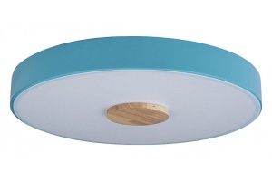 Накладной светильник Loft it Axel 2 10003/24 Blue