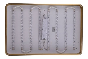 Накладной светильник Zortes Monna ZRS.1209.09 - 3