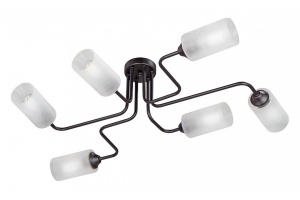 Потолочная люстра Vitaluce 4310 V4310-1/6PL