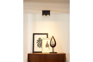 Потолочный светильник Lucide Bodi 09101/02/30 - 2