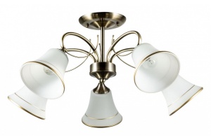 Потолочная люстра Arte Lamp Blossom A2709PL-5AB