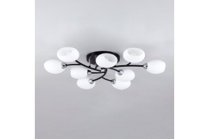 Потолочная люстра Citilux Флорида CL148195 - 3