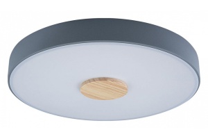 Накладной светильник Loft it Axel 2 10003/24 Grey