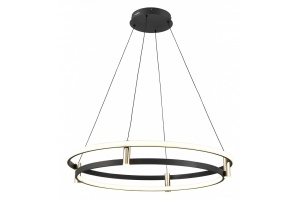 Подвесной светильник Vele Luce Libertas VL7314P24 - 2