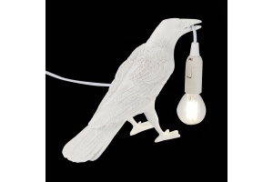 Птица световая EVOLUCE Gavi SLE115304-01 - 2