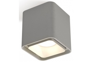 Накладной светильник Ambrella Light XS XS7842001