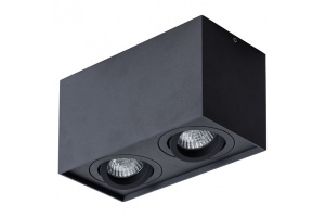 Потолочный светильник Arte Lamp Factor A5544PL-2BK