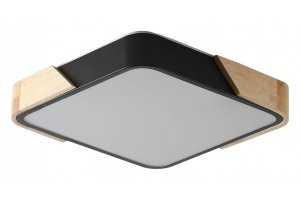 Накладной светильник Zortes ALBERRO ZRS.01281.24 - 2