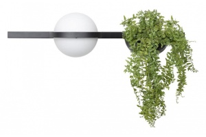 Настенный светильник LOFT IT Jardin 10121W/A