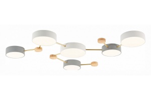 Накладной светильник EVOLUCE Dossena SLE600102-06