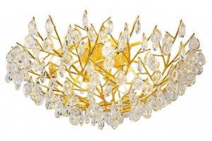 Потолочная люстра Favourite Pluvia 4162-10C - 3