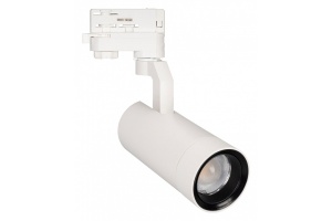 Трековый светодиодный светильник Arlight LGD-Gelios-4TR-R67-20W Day4000 031215