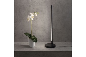 Настольная лампа Mantra Torch 6738 - 2