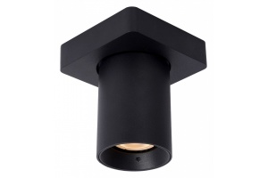 Спот Lucide Nigel 09929/05/30