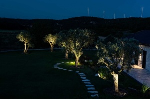 Настенно-наземный прожектор Fiberli CG 11290101 - 2