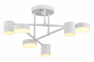 Потолочная люстра EVOLUCE Nobel SLE201052-06 - 2