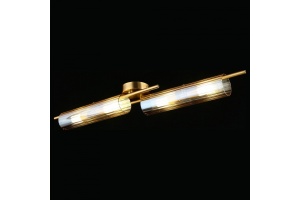 Накладной светильник Aployt Lusia APL.315.07.04 - 3