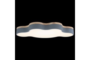 Накладной светильник Loft it Axel 4 10005/36 Grey - 3