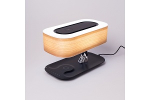 Настольная лампа Citilux Ньютон CL803042 - 2