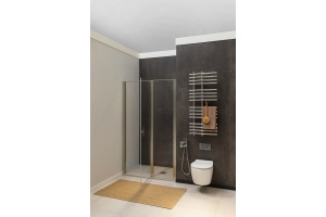 Душевая дверь в нишу Allen Brau Priority 3.31005.BA 100 - 3