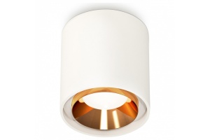 Накладной светильник Ambrella Light XS XS7722004