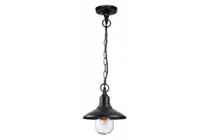 Уличный подвесной светильник Odeon Light Nature Campa 4965/1 - 2