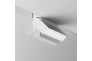 Накладной светильник Maytoni Basis Rot TR075-2-10W4K-W - 3