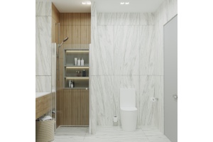 Душевая дверь в нишу DIWO Анапа 100х185, профиль хром глянец - 3