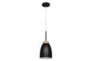 Подвесной светильник Loft IT Watchman Loft4402A-Bl - 2