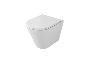 Унитаз подвесной Owl 1975 Ruta-H OWLT190304 безободковый