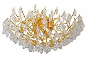 Потолочная люстра Favourite Pluvia 4162-10C - 2