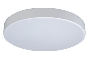 Накладной светильник Loft it Axel 1 10002/24 White - 2