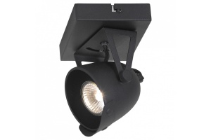 Спот Lussole Montgomery LSP-9505