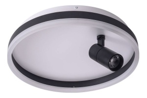 Накладной светильник Zortes Raizy ZRS.1888.03 - 3