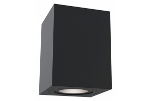 Потолочный светильник Maytoni Alfa C017CL-01B