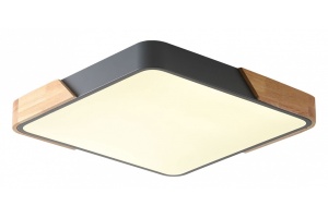 Накладной светильник Zortes ALBERRO ZRS.01288.60 - 3