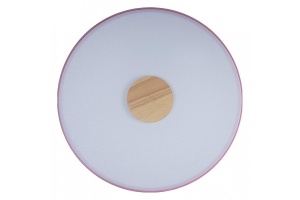 Накладной светильник Loft it Axel 2 10003/24 Pink - 2