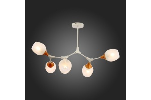 Люстра на штанге EVOLUCE Ciotolla SLE113502-05 - 3