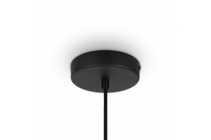 Подвесной светильник Maytoni Roots MOD194PL-01W - 3