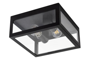 Уличный потолочный светильник Arte Lamp BELFAST A4569PF-2BK