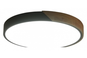 Накладной светильник Zortes ALBERRO ZRS.01280.72 - 2