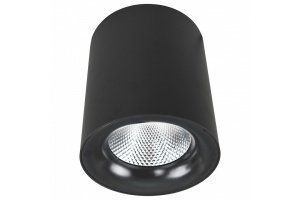 Потолочный светодиодный светильник Arte Lamp Facile A5130PL-1BK
