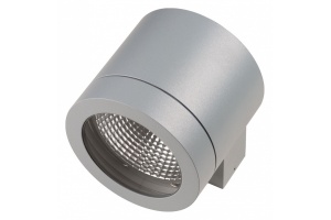 Накладной светильник Lightstar Paro 350619