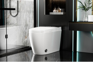 Электронный унитаз-биде ABBER Bequem AC1116S приставной белый - 3