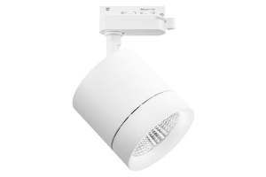 Трековый светодиодный светильник Lightstar Canno Led 301264