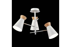 Потолочная люстра EVOLUCE Alfeo SLE1252-502-03 - 2