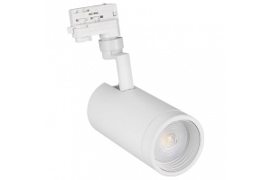 Трековый светодиодный светильник Arlight LGD-Zeus-4TR-R100-30W Day 024609